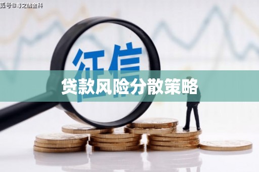 武隆贷款风险分散策略