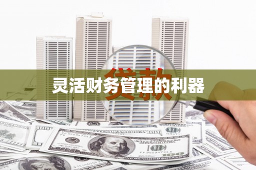 武隆灵活财务管理的利器