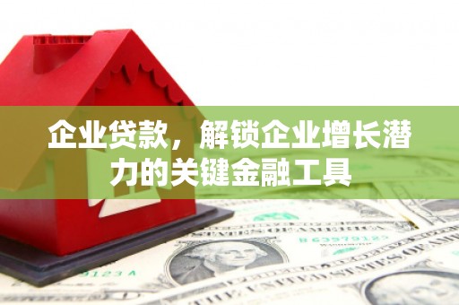 武隆企业贷款，解锁企业增长潜力的关键金融工具