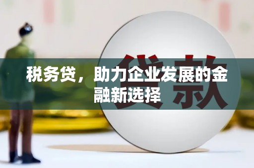 武隆税务贷，助力企业发展的金融新选择