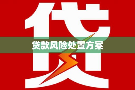 武隆贷款风险处置方案