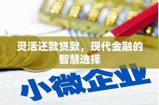 武隆灵活还款贷款，现代金融的智慧选择