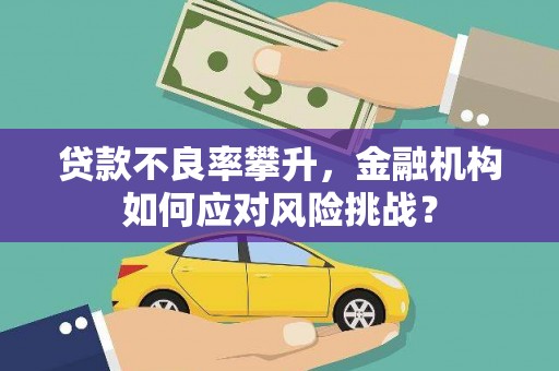 武隆贷款不良率攀升，金融机构如何应对风险挑战？
