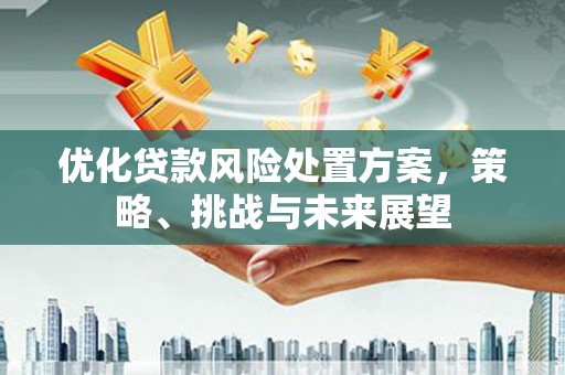 武隆优化贷款风险处置方案，策略、挑战与未来展望