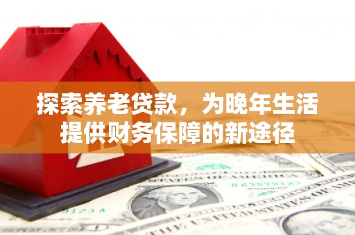 武隆探索养老贷款，为晚年生活提供财务保障的新途径