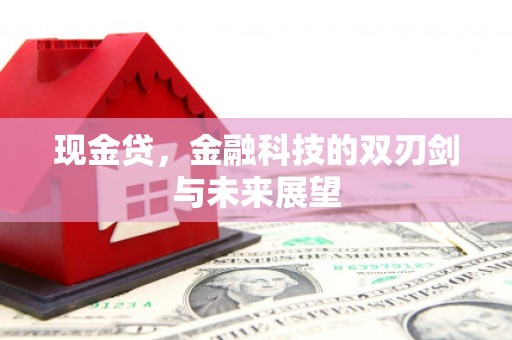 武隆现金贷，金融科技的双刃剑与未来展望
