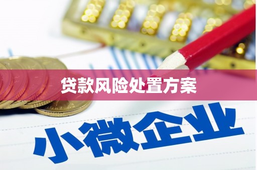 武隆贷款风险处置方案