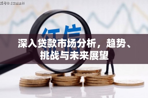武隆深入贷款市场分析，趋势、挑战与未来展望