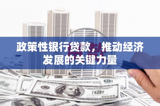 武隆政策性银行贷款，推动经济发展的关键力量