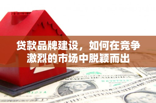 武隆贷款品牌建设，如何在竞争激烈的市场中脱颖而出