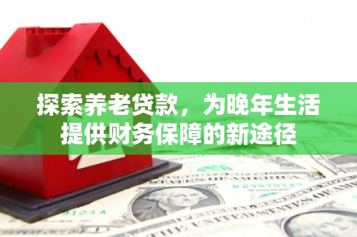 武隆探索养老贷款，为晚年生活提供财务保障的新途径
