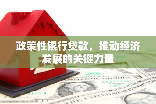 武隆政策性银行贷款，推动经济发展的关键力量