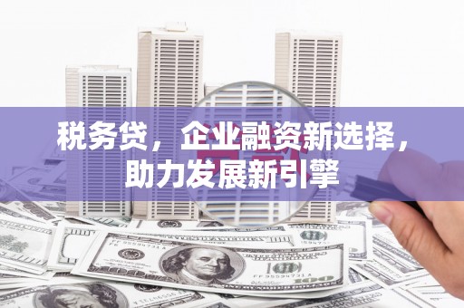 武隆税务贷，企业融资新选择，助力发展新引擎