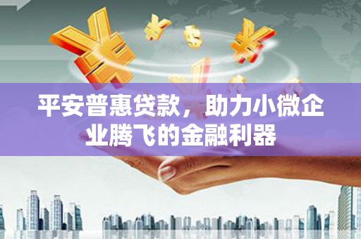 武隆平安普惠贷款，助力小微企业腾飞的金融利器