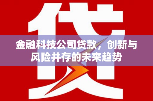 武隆金融科技公司贷款，创新与风险并存的未来趋势