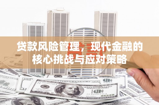 武隆贷款风险管理，现代金融的核心挑战与应对策略