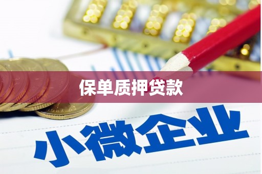 武隆保单质押贷款