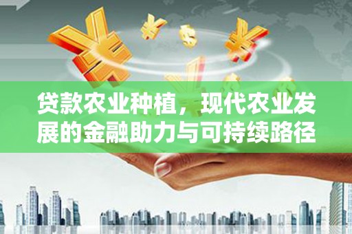武隆贷款农业种植，现代农业发展的金融助力与可持续路径