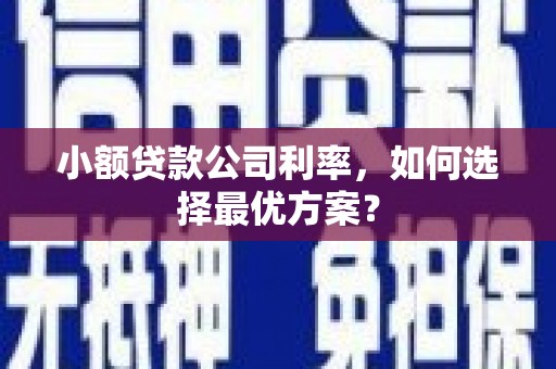 武隆小额贷款公司利率，如何选择最优方案？