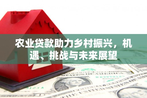武隆农业贷款助力乡村振兴，机遇、挑战与未来展望