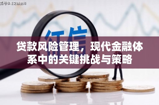 武隆贷款风险管理，现代金融体系中的关键挑战与策略