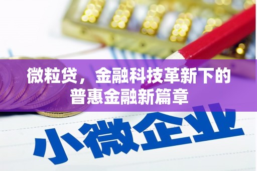 武隆微粒贷，金融科技革新下的普惠金融新篇章