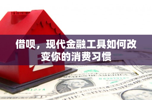 武隆借呗，现代金融工具如何改变你的消费习惯