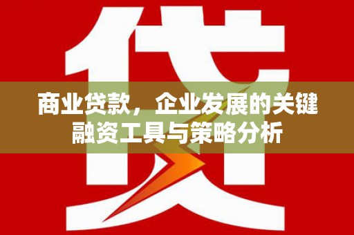 武隆商业贷款，企业发展的关键融资工具与策略分析