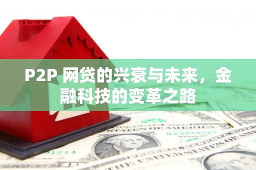 武隆P2P 网贷的兴衰与未来，金融科技的变革之路