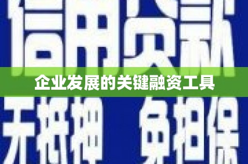 武隆企业发展的关键融资工具