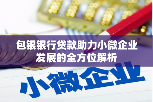 武隆包银银行贷款助力小微企业发展的全方位解析