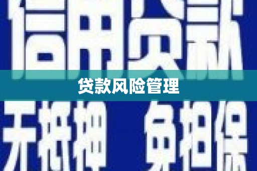 武隆贷款风险管理