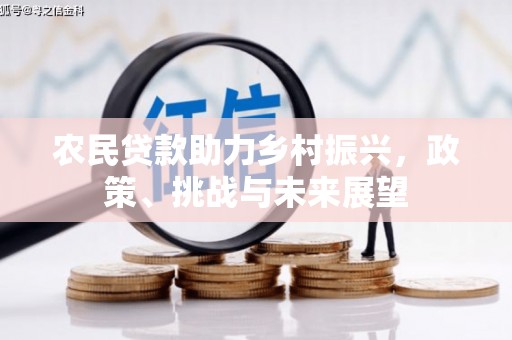 武隆农民贷款助力乡村振兴，政策、挑战与未来展望