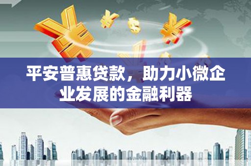 武隆平安普惠贷款，助力小微企业发展的金融利器