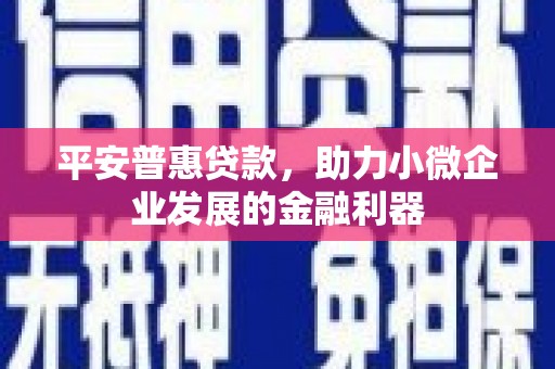 武隆平安普惠贷款，助力小微企业发展的金融利器