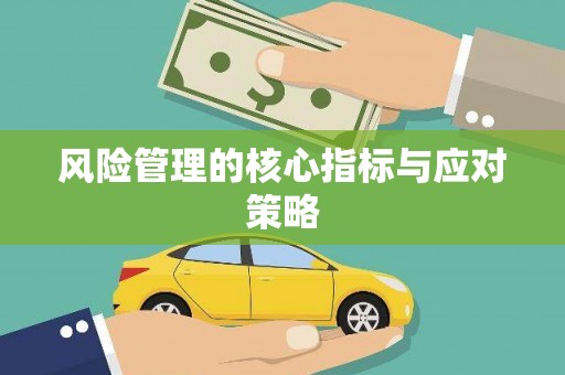 武隆风险管理的核心指标与应对策略