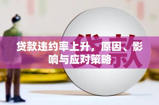 武隆贷款违约率上升，原因、影响与应对策略