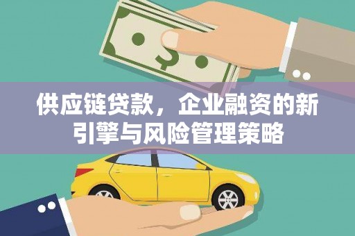 武隆供应链贷款，企业融资的新引擎与风险管理策略