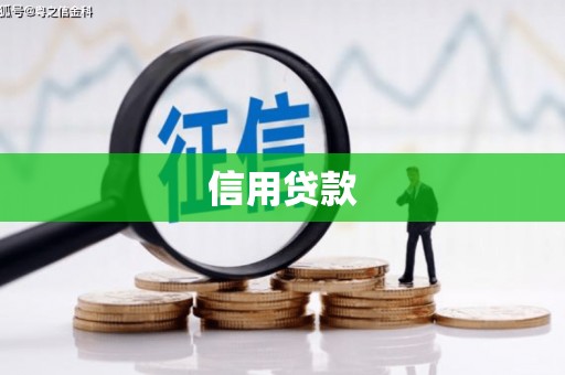 武隆信用贷款
