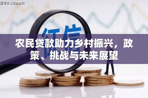 武隆农民贷款助力乡村振兴，政策、挑战与未来展望