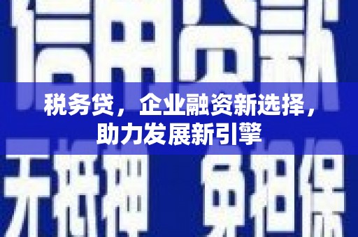 武隆税务贷，企业融资新选择，助力发展新引擎