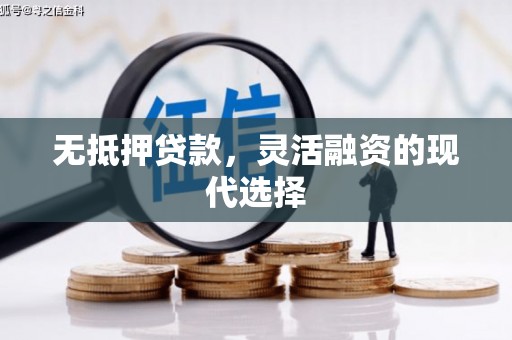 武隆无抵押贷款，灵活融资的现代选择