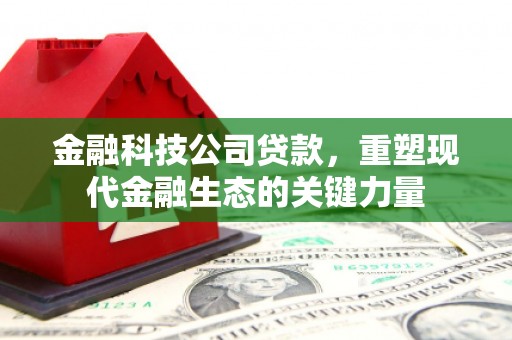 武隆金融科技公司贷款，重塑现代金融生态的关键力量