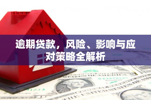 武隆逾期贷款，风险、影响与应对策略全解析