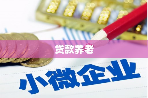 武隆贷款养老