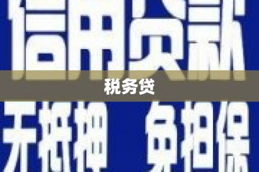 武隆税务贷