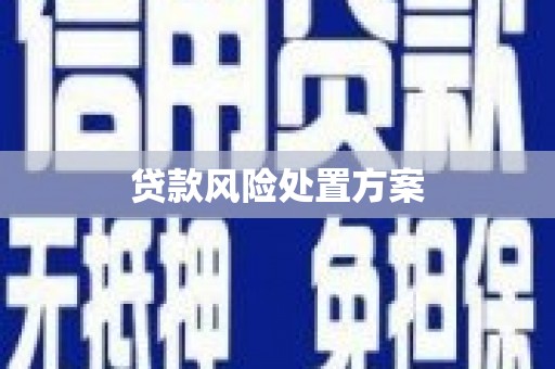 武隆贷款风险处置方案