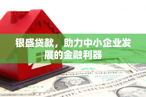 武隆银盛贷款，助力中小企业发展的金融利器