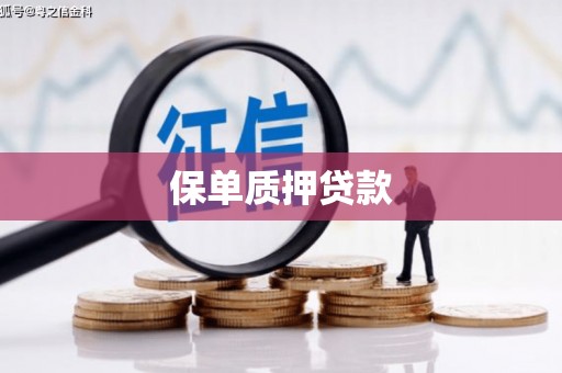 武隆保单质押贷款