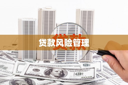 武隆贷款风险管理
